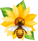 Traditional Honey