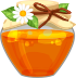 Wild Honey