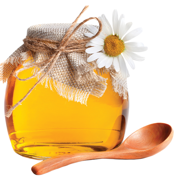 Fresh Sunflower Honey